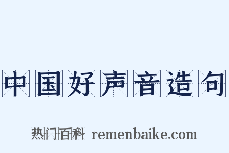 中国好声音造句是什么意思的图片